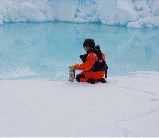 Arctic sea-ice algae attract plastics, new research shows