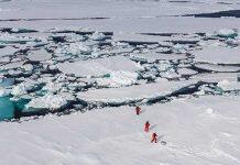 Microplastics found in naturally occurring slime under Arctic ice cap