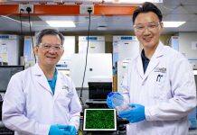 Understanding how cancer cells migrate paves the way for targeted therapies