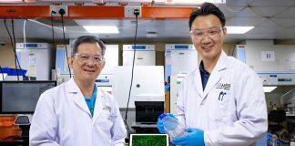 Understanding how cancer cells migrate paves the way for targeted therapies