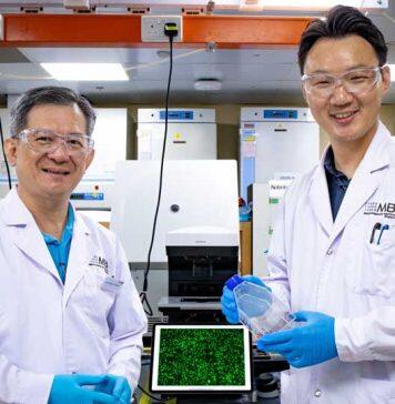 Understanding how cancer cells migrate paves the way for targeted therapies