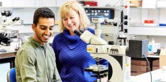 £2m investment boost for professor’s ‘wonder material’