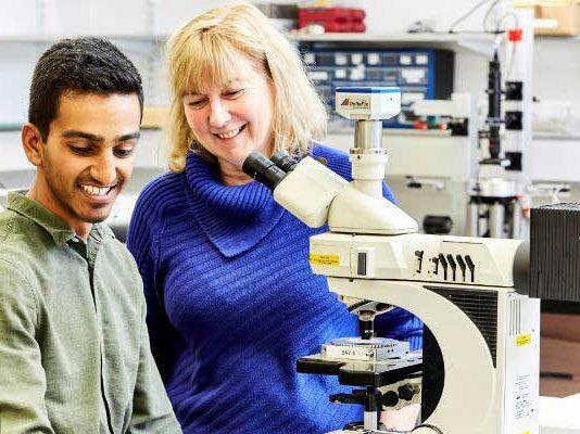 £2m investment boost for professor’s ‘wonder material’