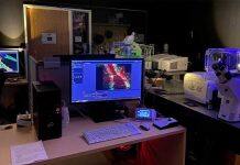 The research possibilities are limitless when they’re backed by core facilities