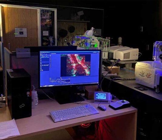 The research possibilities are limitless when they’re backed by core facilities