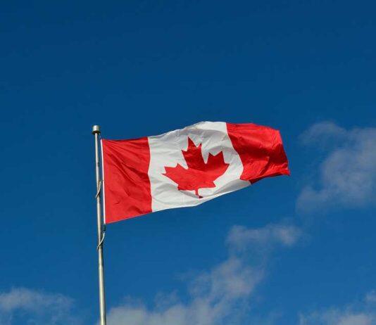 What are the advantages and disadvantages of studying in Canada?