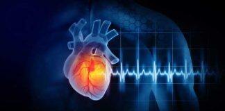 Queen Mary researcher receives major funding award