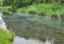 Innovative solutions to decontaminate our water