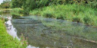 Innovative solutions to decontaminate our water