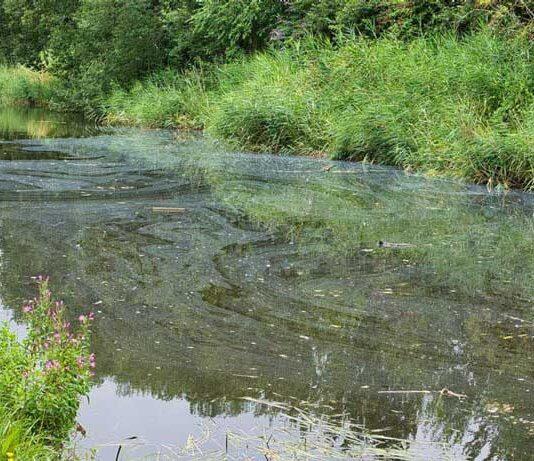 Innovative solutions to decontaminate our water