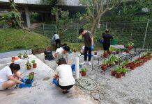 Training more plant experts with a new botany minor