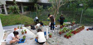 Training more plant experts with a new botany minor