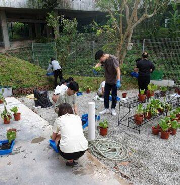 Training more plant experts with a new botany minor