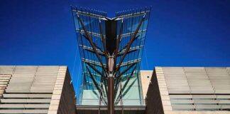 UNSW extends Scientia Program supporting early- to mid-career researchers