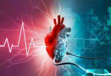 Pinpointing the cause of a mysterious heart disease affecting women