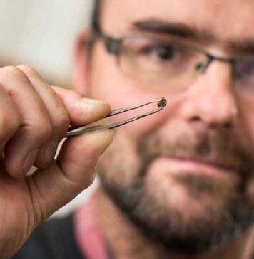 World-leading diamond expert joins Royal Society