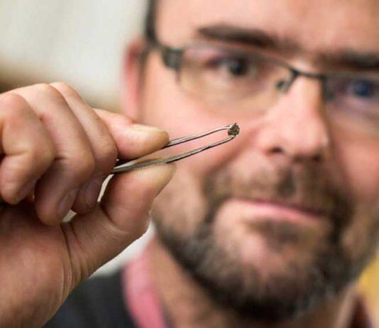 World-leading diamond expert joins Royal Society