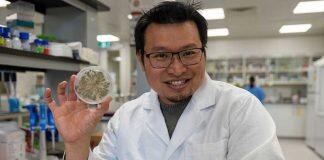Fungi power project leads $3 million in Federal funding grants