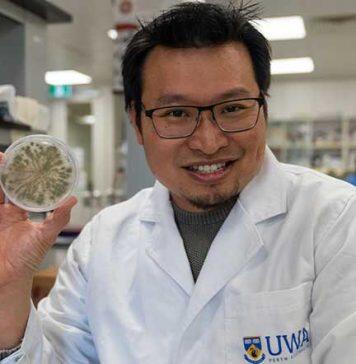 Fungi power project leads $3 million in Federal funding grants