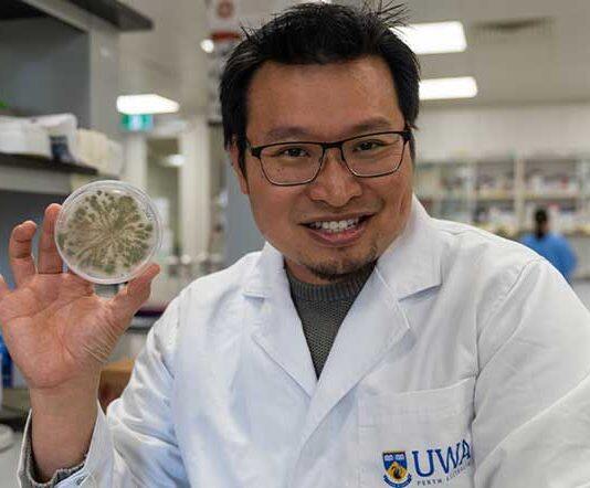 Fungi power project leads $3 million in Federal funding grants