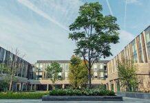 Ivey initiative maps out path towards net zero for firms