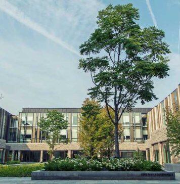 Ivey initiative maps out path towards net zero for firms