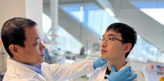 Artificial Intelligence powers second-skin-like wearable tech