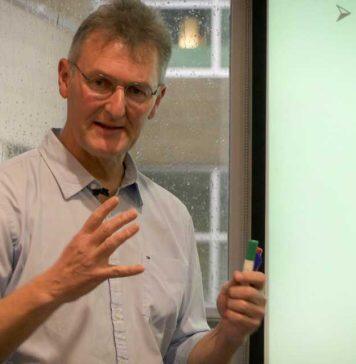 Biology professor Paul Grogan receives top teaching award