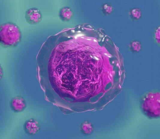 £9m funding boost for cell biology research