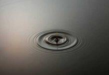 Vinegar could be secret ingredient in fight against climate crisis