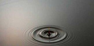 Vinegar could be secret ingredient in fight against climate crisis