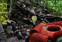 Lancaster academic to help highlight hidden rights for nature around the world