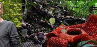 Lancaster academic to help highlight hidden rights for nature around the world