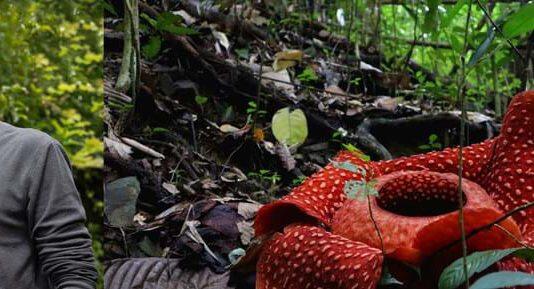 Lancaster academic to help highlight hidden rights for nature around the world