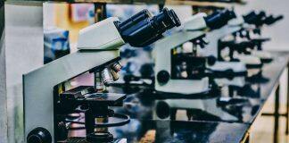 Te Herenga Waka—Victoria University of Wellington welcomes funding for Wellington Science City