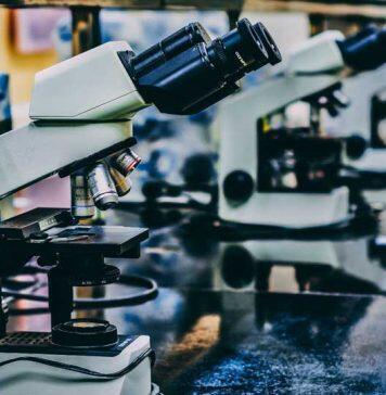 Te Herenga Waka—Victoria University of Wellington welcomes funding for Wellington Science City
