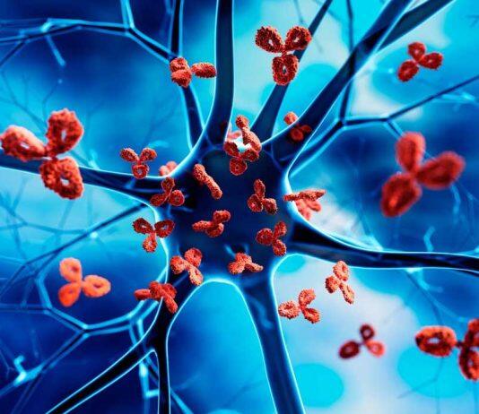 Tackling the rise of autoimmune diseases with genetically modified cell therapies