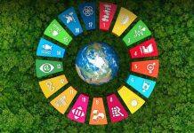 UOW emerges as leader in latest sustainability rankings