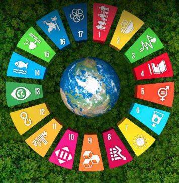 UOW emerges as leader in latest sustainability rankings
