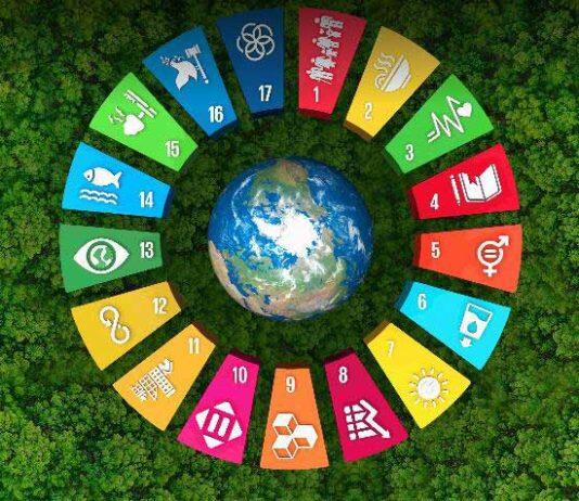 UOW emerges as leader in latest sustainability rankings