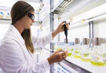 Moving up the global impact ranks