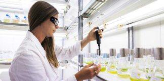 Moving up the global impact ranks