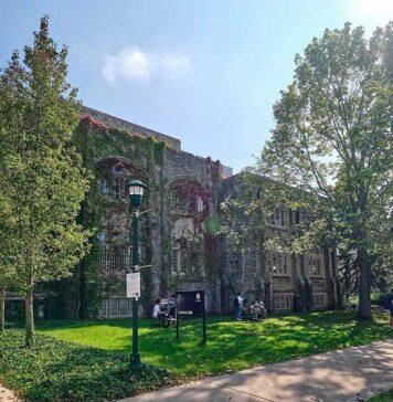 Western in top 10 of 1,705 universities in global sustainability rankings