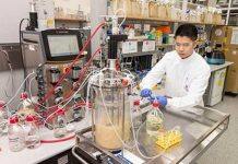 UQ forges global partnership to create home-grown vaccines