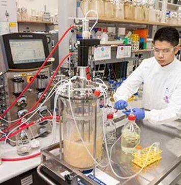 UQ forges global partnership to create home-grown vaccines
