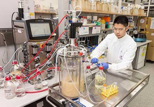 UQ forges global partnership to create home-grown vaccines