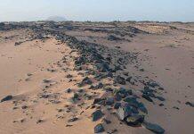 Walls along River Nile reveal ancient form of hydraulic engineering