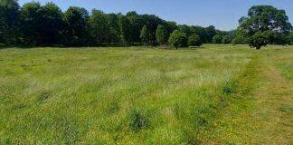 Investigation of Lowther’s medieval castle and village to start