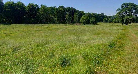 Investigation of Lowther’s medieval castle and village to start