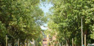 UNSW posts big jump in 2023 Times Higher Education Impact Rankings